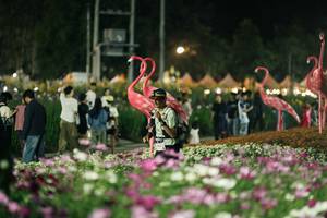 BIB: 
                            <button type="button" onclick="openModal(27337304)" class="btn btn-primary btn-sm float-right btn-popup" data-toggle="modal" data-target=".modal-high-quality">
                        <i class="fas fa-shopping-cart"></i> Add to Cart
                    </button>
                                            <button type="button" onclick="isThisMe(27337304, true)" class="btn btn-success btn-sm float-right btn-popup btn-isme hidden" data-toggle="tooltip" data-placement="bottom" title="นี่คือรูปของคุณใช่ไหม คลิกที่นี่เพื่อเอาเข้าอัลบั้ม">
                        <i class="fas fa-plus"></i> Add to album
                    </button>
                    <button type="button" onclick="isThisMe(27337304, false)" class="btn btn-warning btn-sm float-right btn-popup btn-isnotme hidden">
                        <i class="fas fa-ban"></i> Remove from album
                    </button>